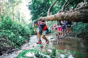 BIB: 
                            <button type="button" onclick="openModal(25467175)" class="btn btn-primary btn-sm float-right btn-popup" data-toggle="modal" data-target=".modal-high-quality">
                        <i class="fas fa-shopping-cart"></i> Add to Cart
                    </button>
                                            <button type="button" onclick="isThisMe(25467175, true)" class="btn btn-success btn-sm float-right btn-popup btn-isme hidden" data-toggle="tooltip" data-placement="bottom" title="นี่คือรูปของคุณใช่ไหม คลิกที่นี่เพื่อเอาเข้าอัลบั้ม">
                        <i class="fas fa-plus"></i> Add to album
                    </button>
                    <button type="button" onclick="isThisMe(25467175, false)" class="btn btn-warning btn-sm float-right btn-popup btn-isnotme hidden">
                        <i class="fas fa-ban"></i> Remove from album
                    </button>